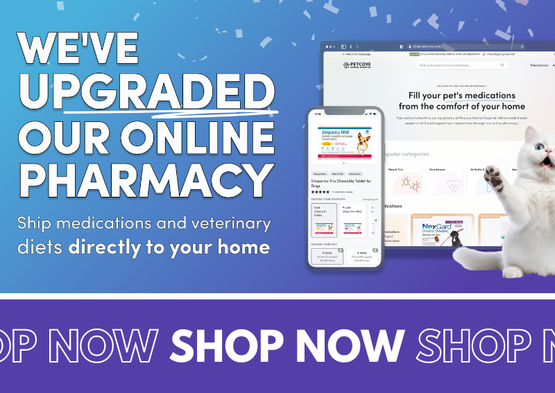 Carousel Slide 3: Online Pet Pharmacy